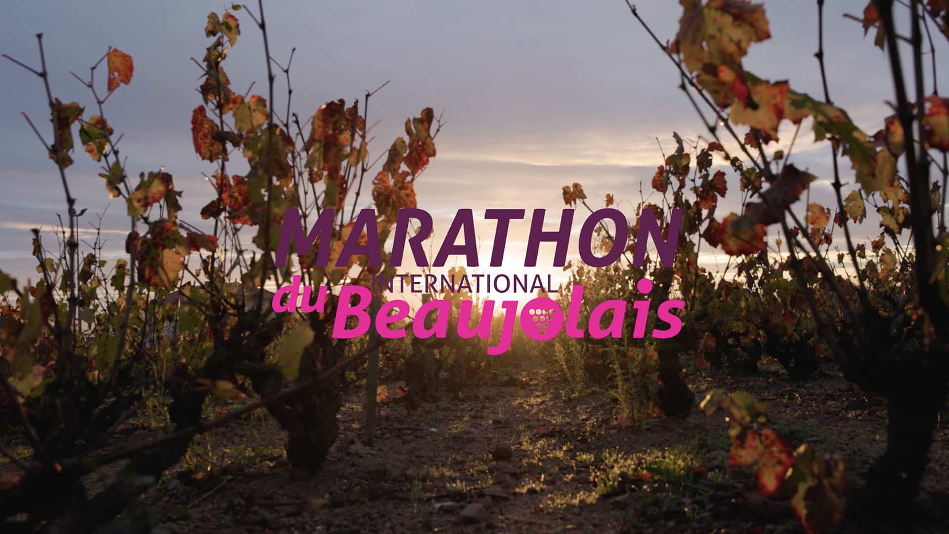 Marathon du Beaujolais 2023 course – Réalisé par Jeremy Pancras